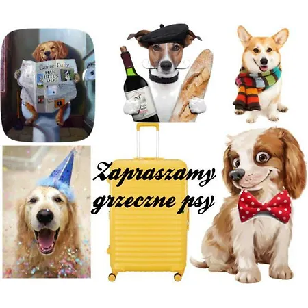 Apartament I Rowery Gratis *