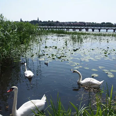 I Rowery Gratis Apartament