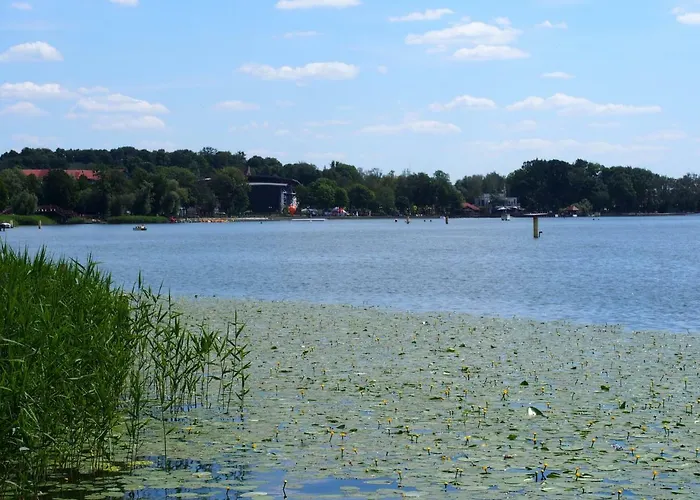 I Rowery Gratis * Ostroda