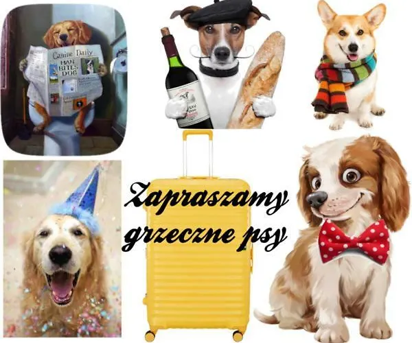 Apartment I Rowery Gratis *