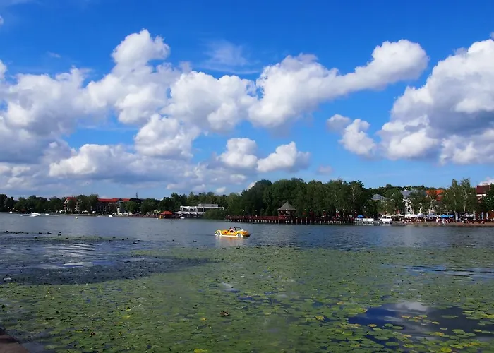 Apartment I Rowery Gratis *