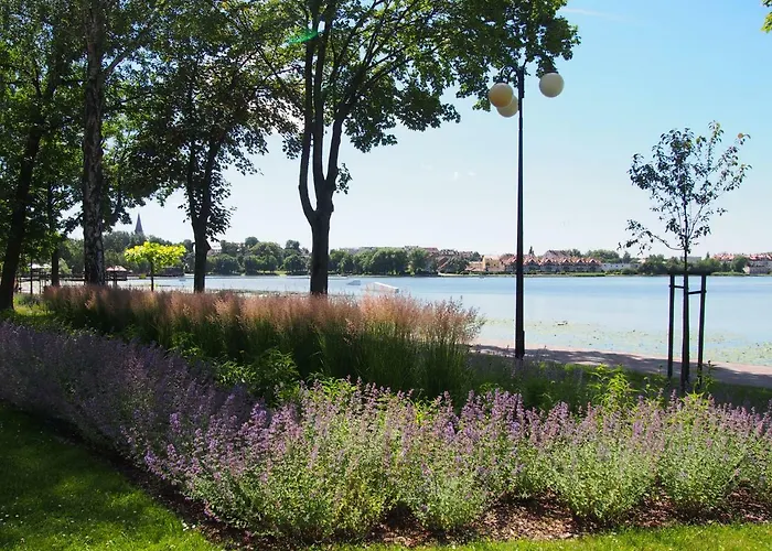 I Rowery Gratis * Ostroda